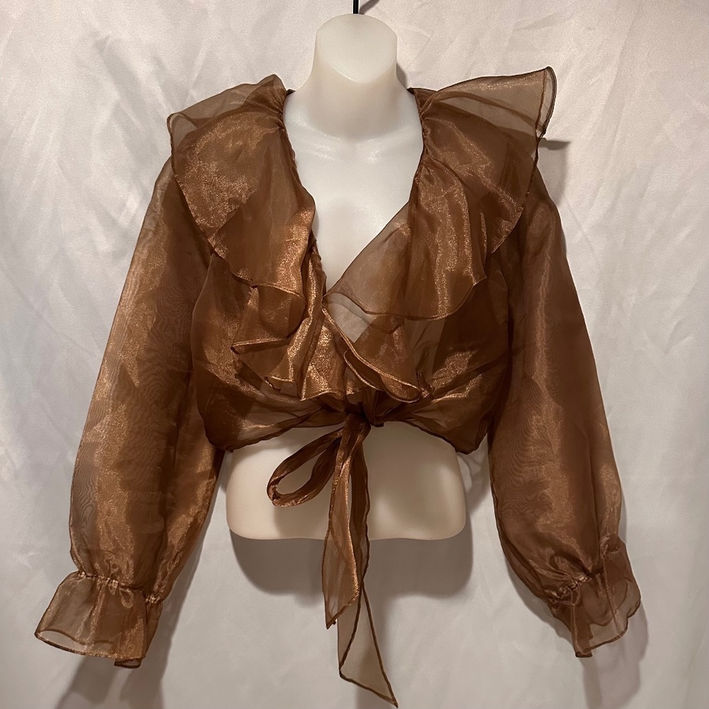 Vintage Gold Sheer Organza Ruffle Blazer Size Large